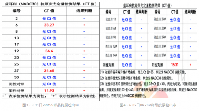 巅峰娱乐官网(中国)官方网站-登录入口