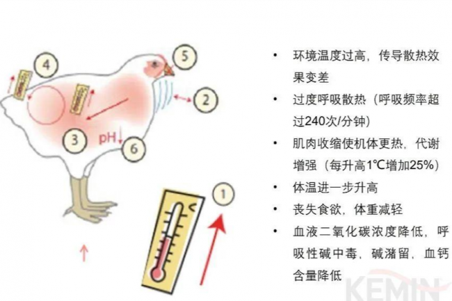 巅峰娱乐官网(中国)官方网站-登录入口